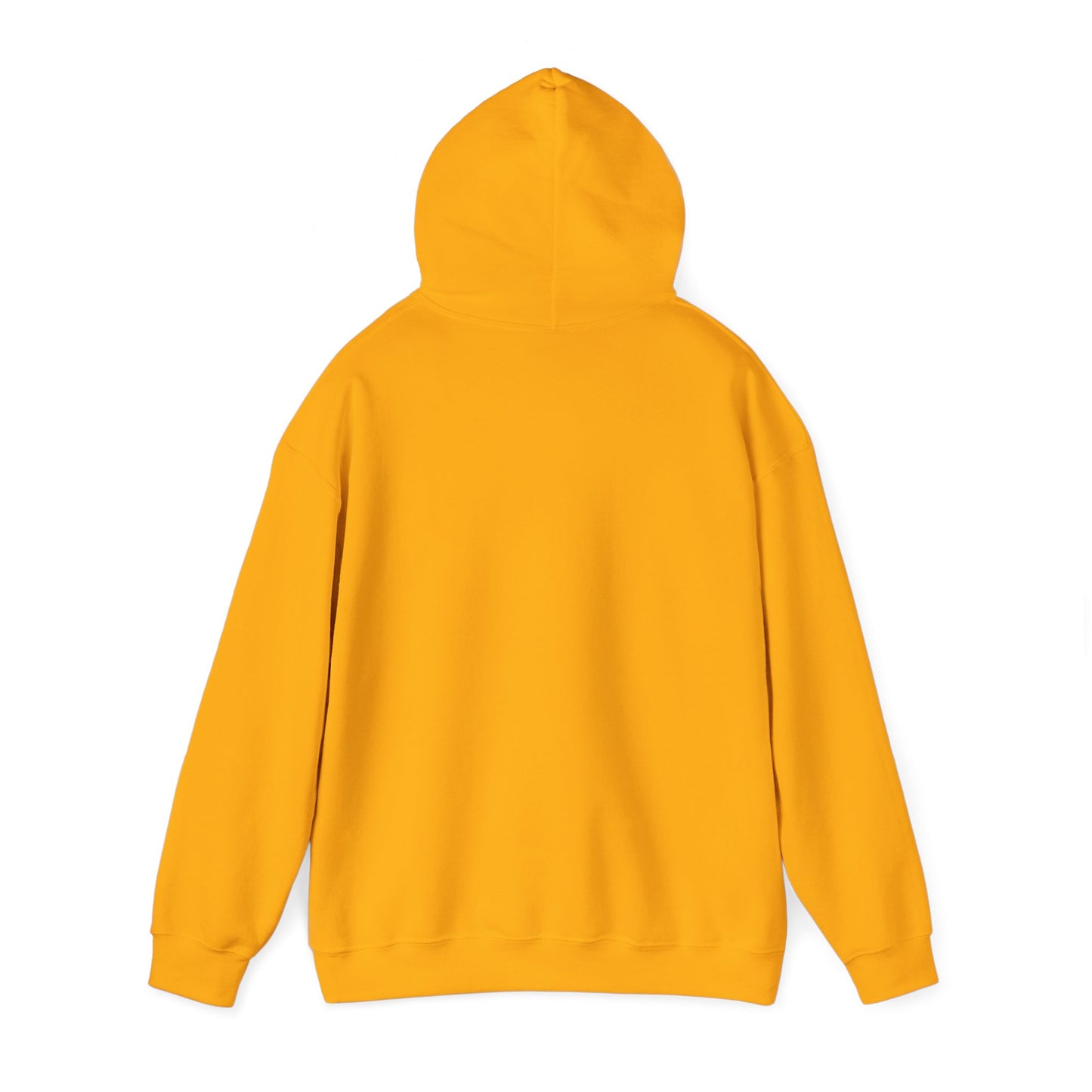 Funny WiFi Hoodie for Casual Comfort Humour Joke Fashion Hoodie