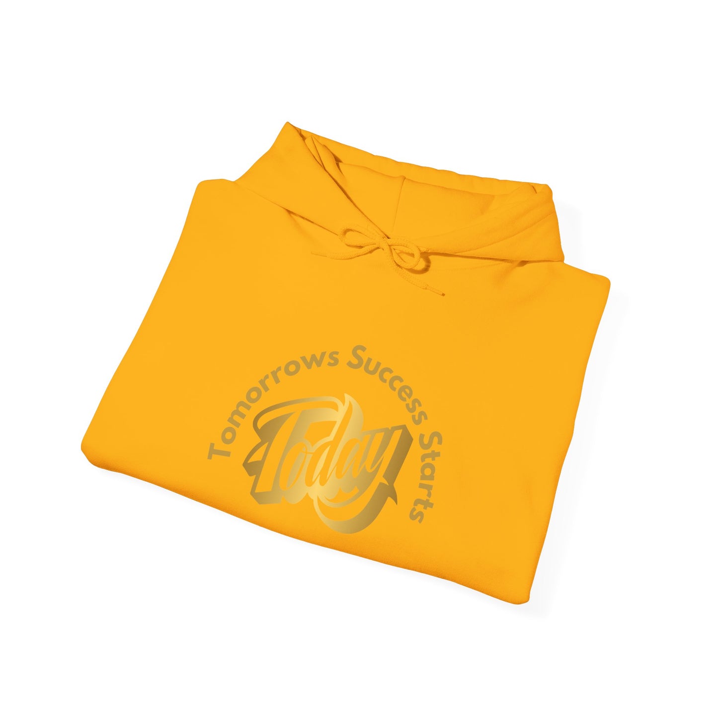 Inspirational Hoodie - "Tomorrow's Success Starts Today" Gym Motivation Hoodie