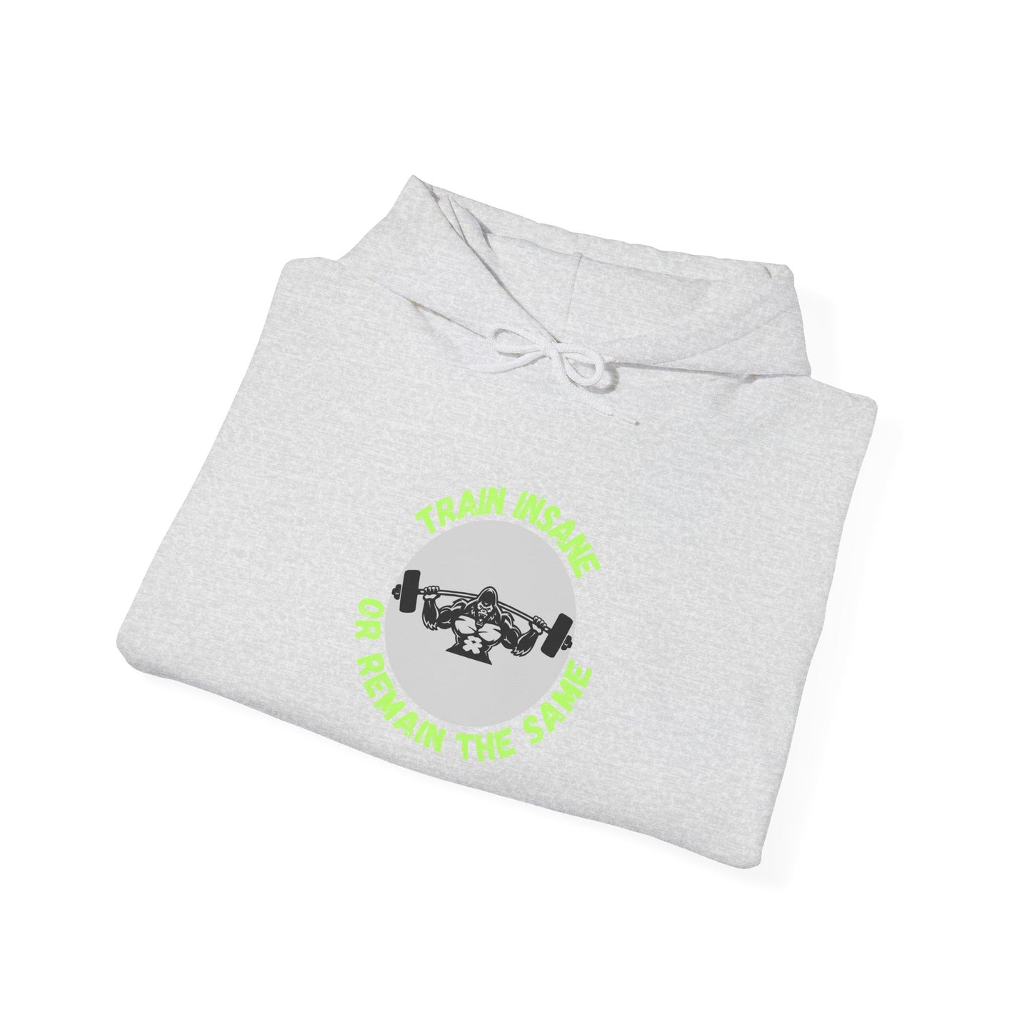 Train Insane Unisex Heavy Blend™ Hoodie - Motivational Gym Sweatshirt Humour Joke Clothing