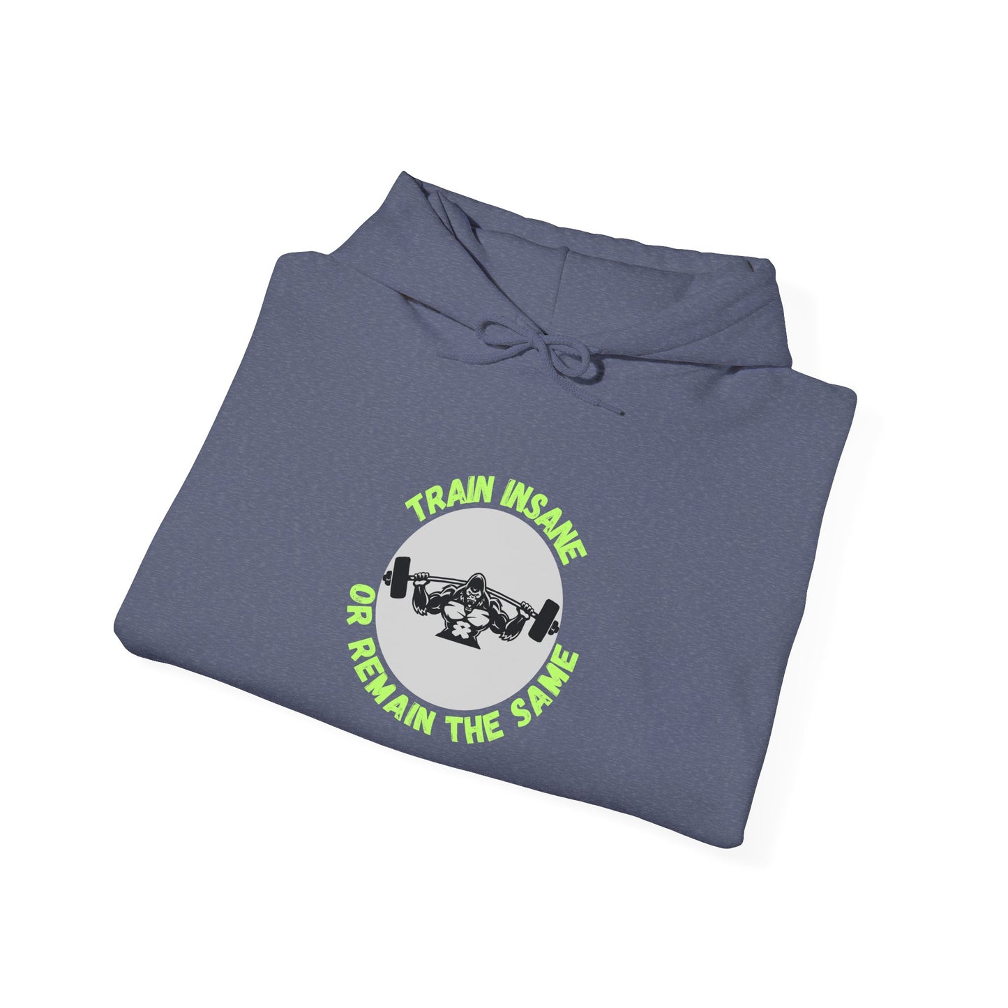 Train Insane Unisex Heavy Blend™ Hoodie - Motivational Gym Sweatshirt Humour Joke Clothing