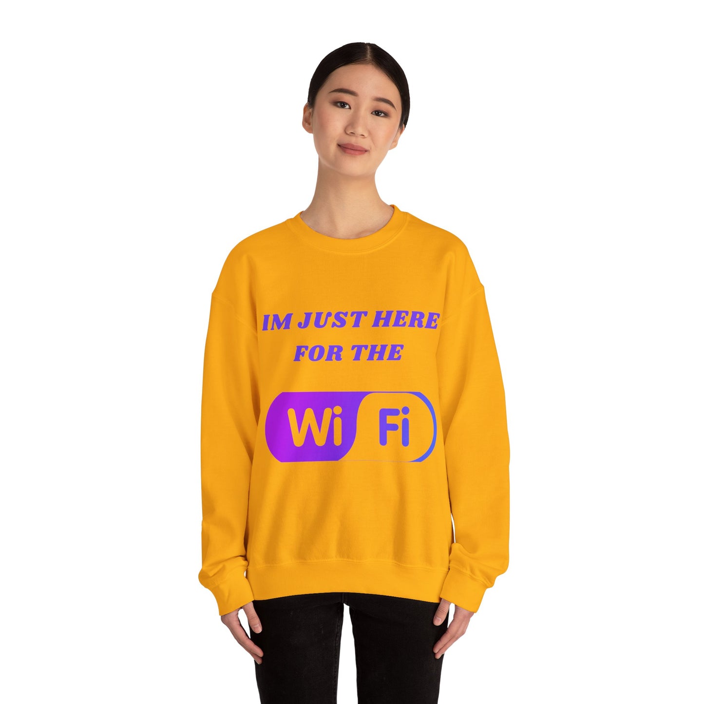 Funny WiFi Sweatshirt for Internet Lovers Humour Joke Clothing Sweat Shirt