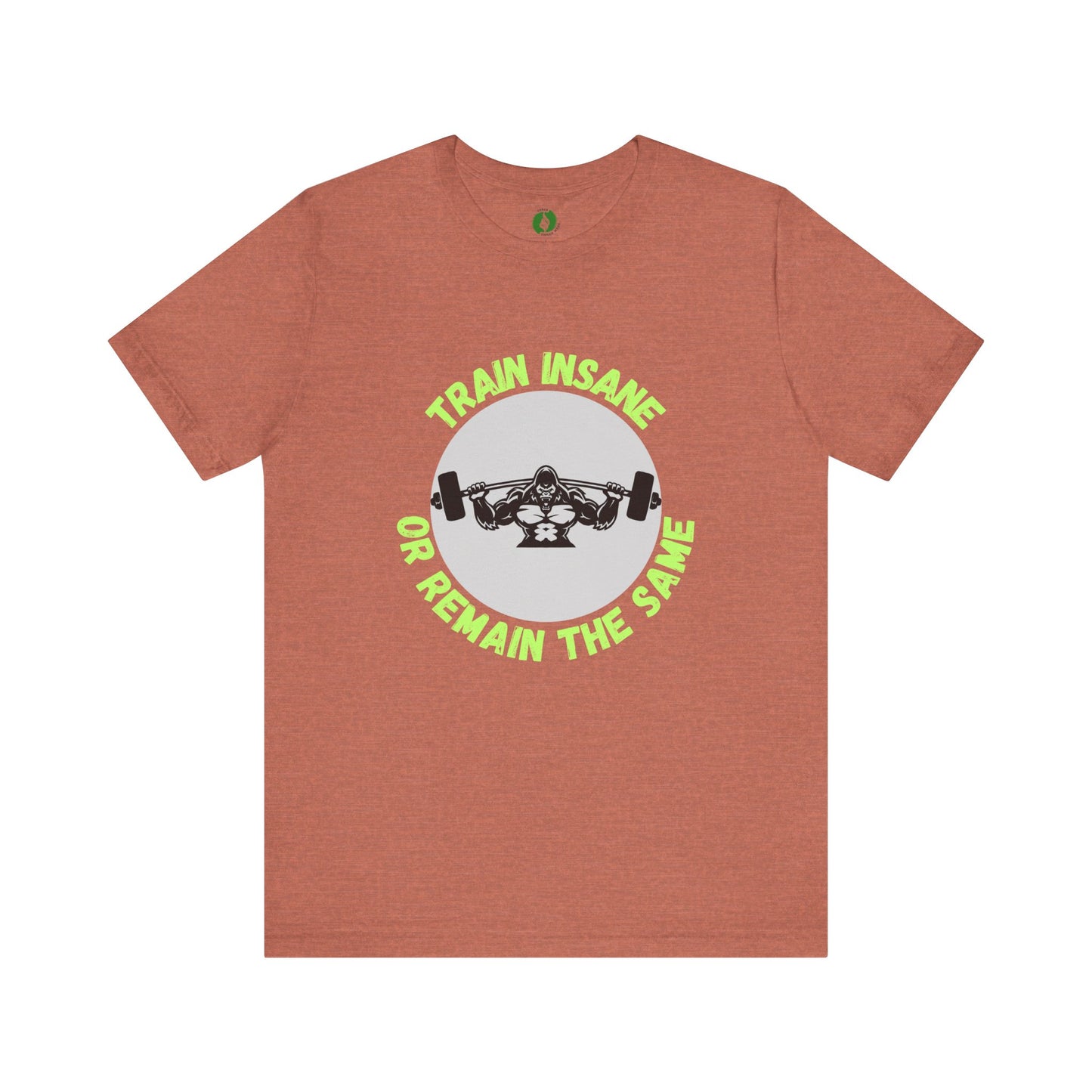 Motivational Fitness Tee - 'Train Insane or Remain the Same' Unisex Jersey Short Sleeve Humour Joke Clothing