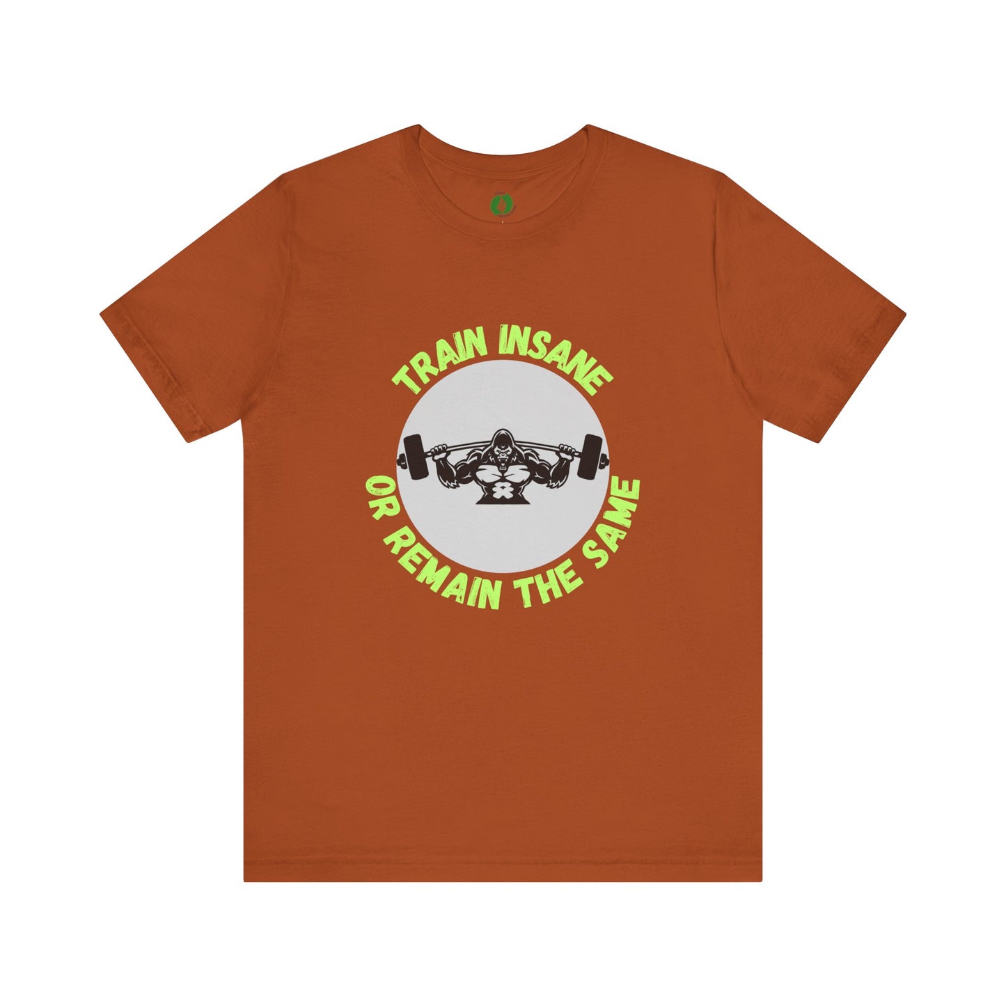 Motivational Fitness Tee - 'Train Insane or Remain the Same' Unisex Jersey Short Sleeve Humour Joke Clothing