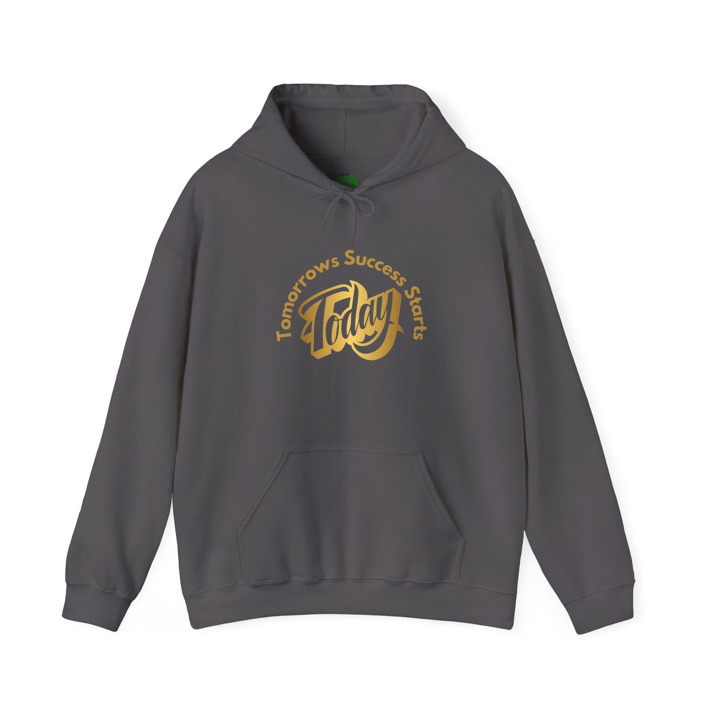 Inspirational Hoodie - "Tomorrow's Success Starts Today" Gym Motivation Hoodie