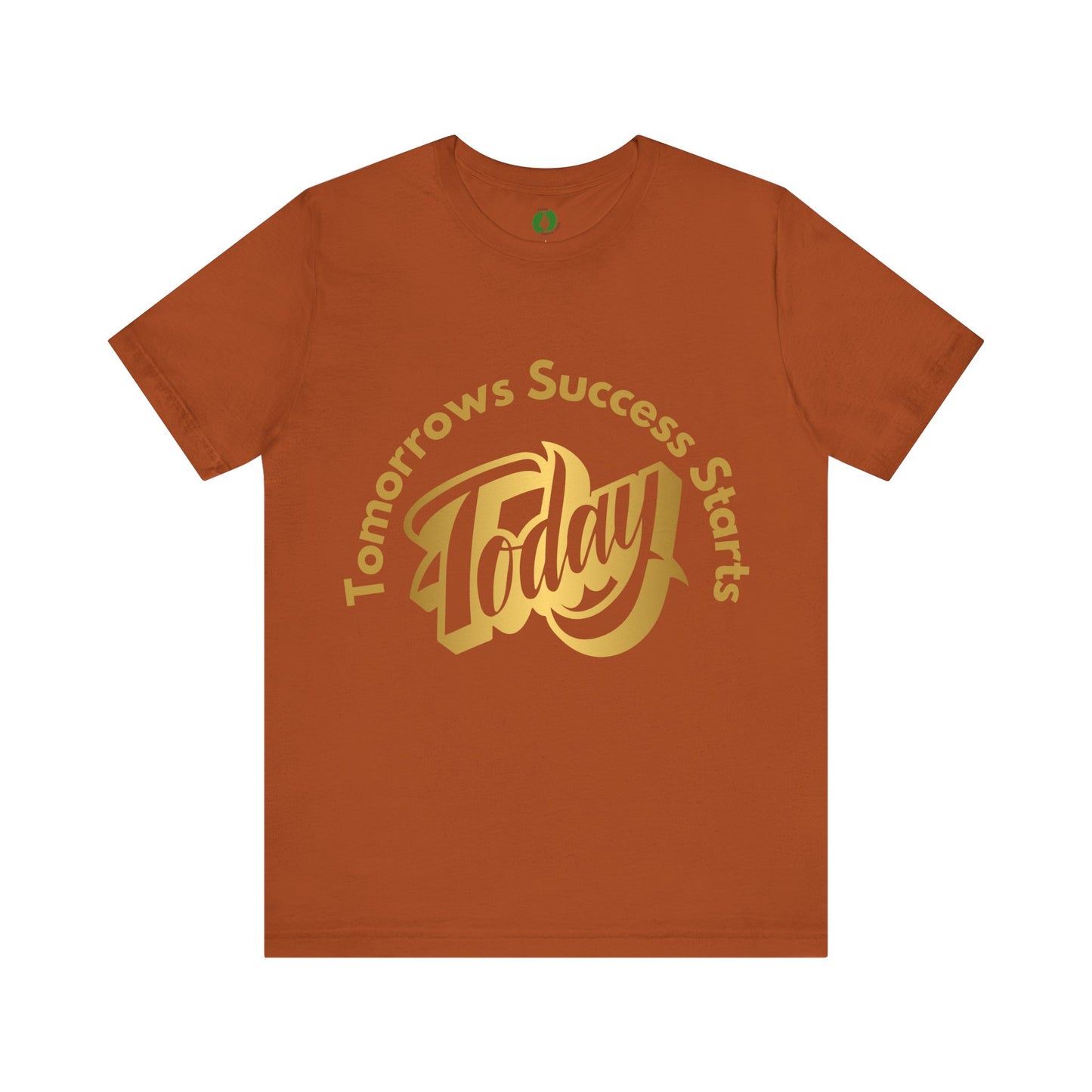 Inspirational Success Tee - "Tomorrow’s Success Starts Today" Unisex Jersey T-Shirt Gym Motivation T Shirt