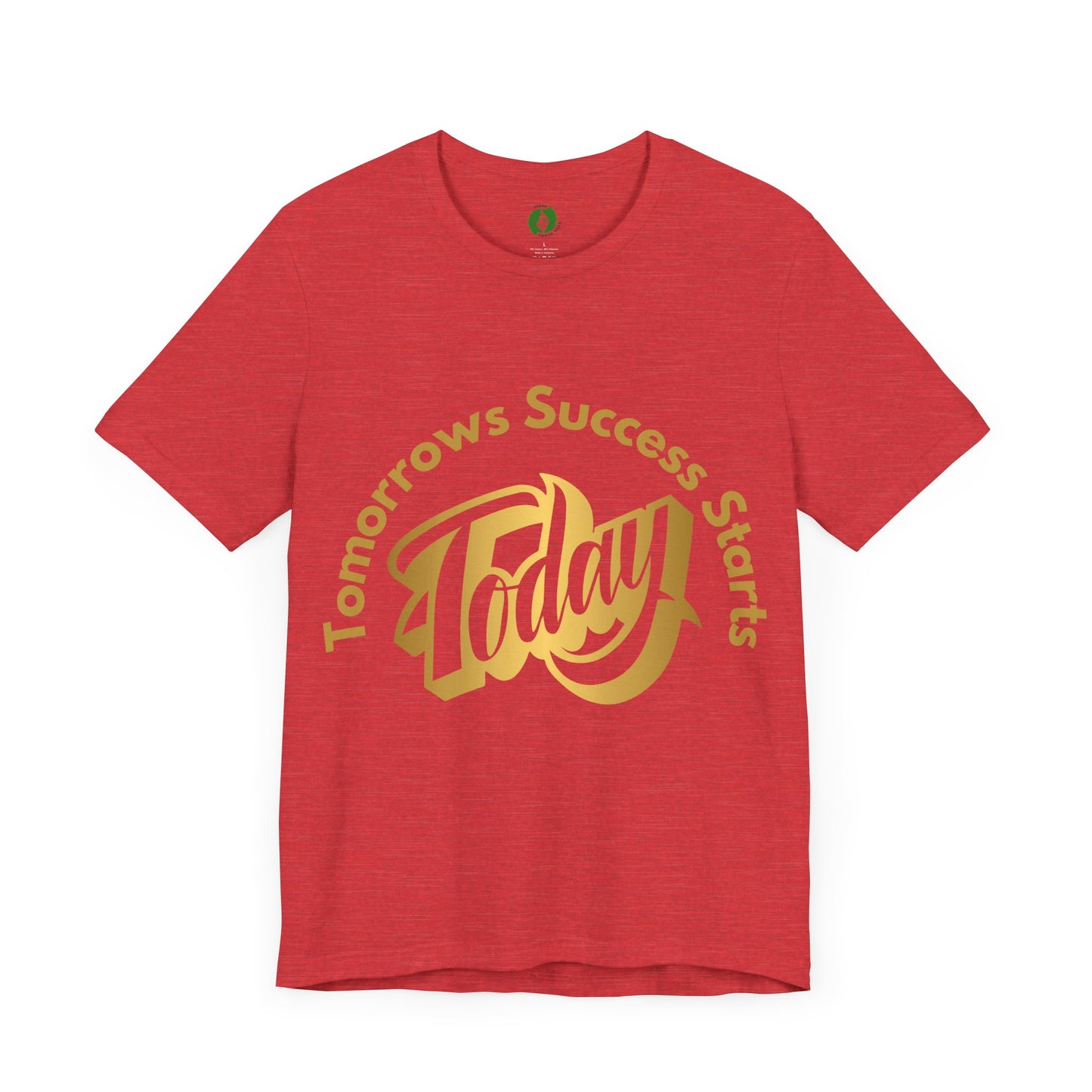 Inspirational Success Tee - "Tomorrow’s Success Starts Today" Unisex Jersey T-Shirt Gym Motivation T Shirt