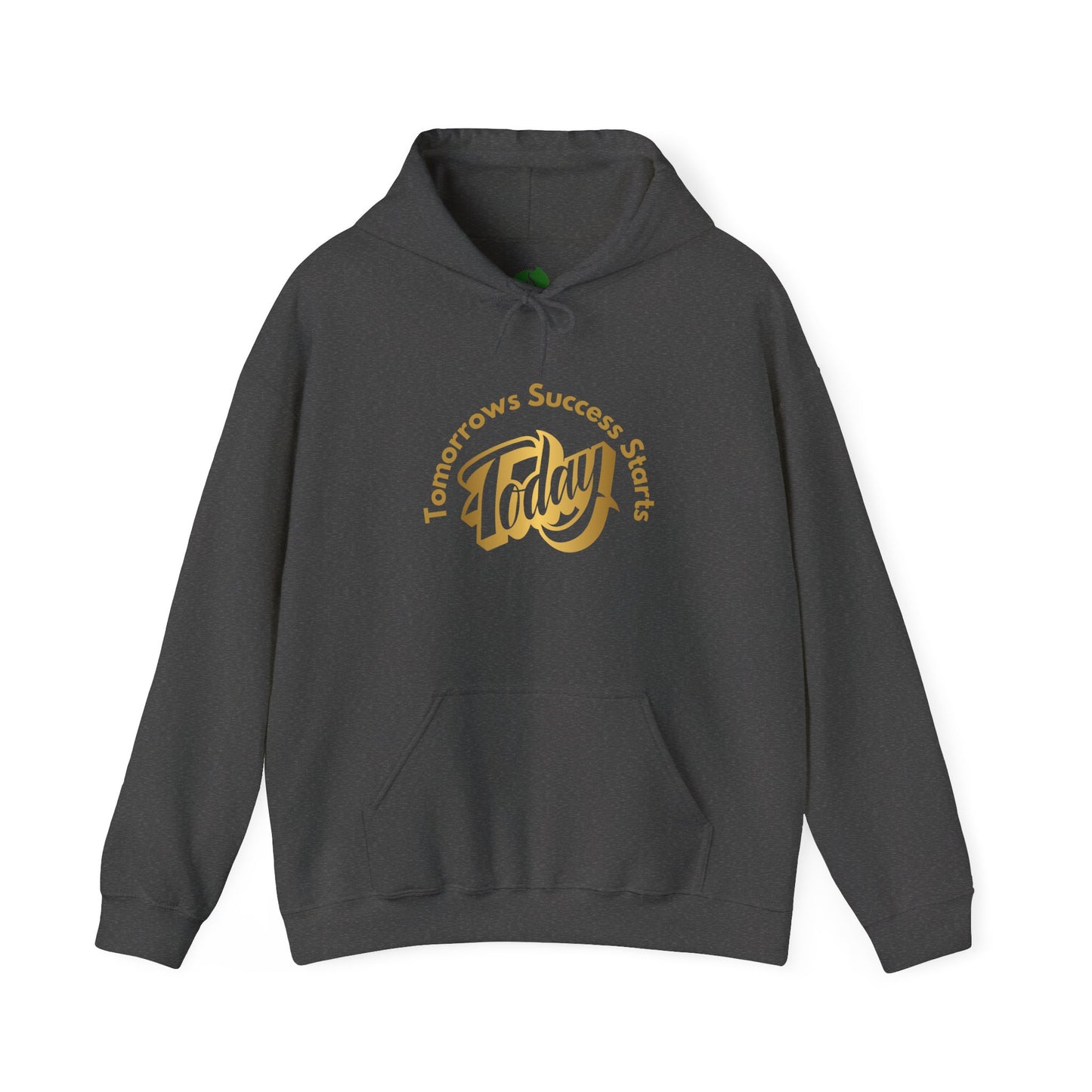 Inspirational Hoodie - "Tomorrow's Success Starts Today" Gym Motivation Hoodie
