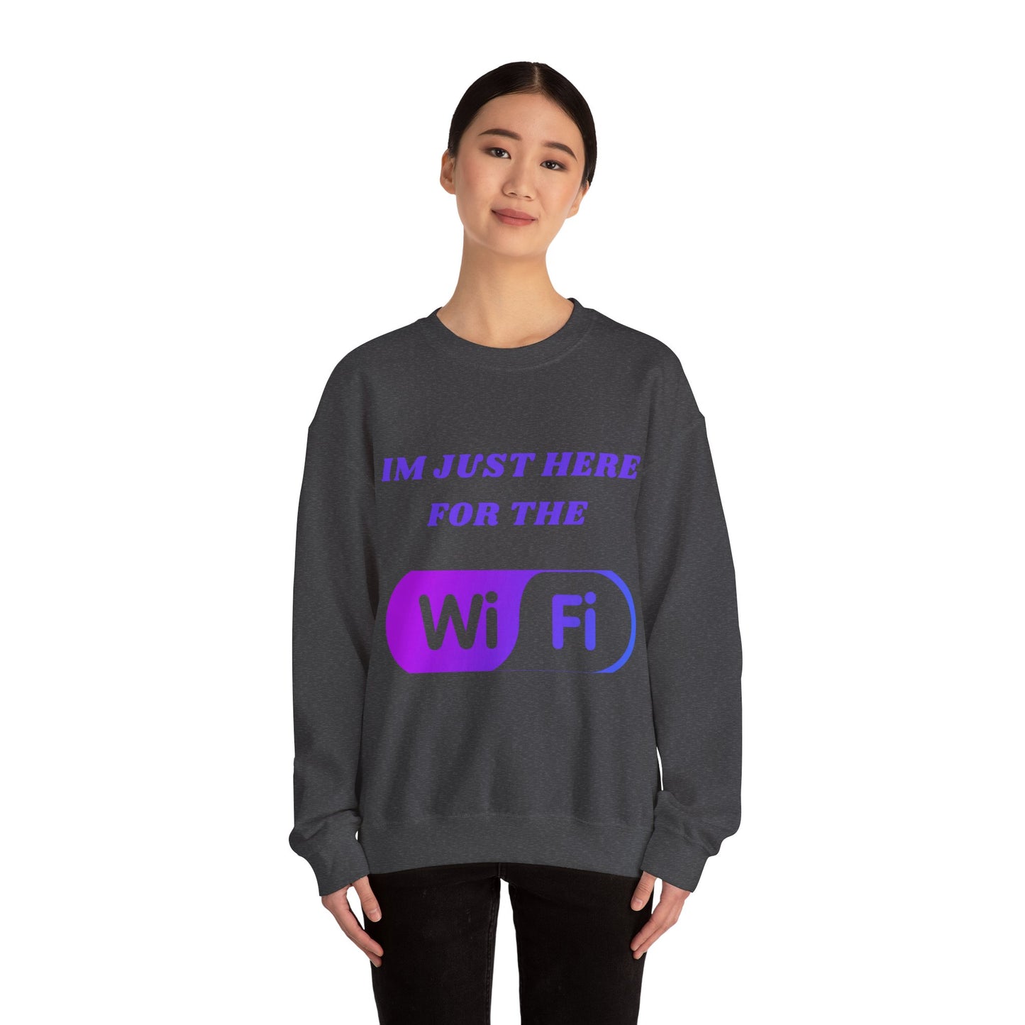 Funny WiFi Sweatshirt for Internet Lovers Humour Joke Clothing Sweat Shirt