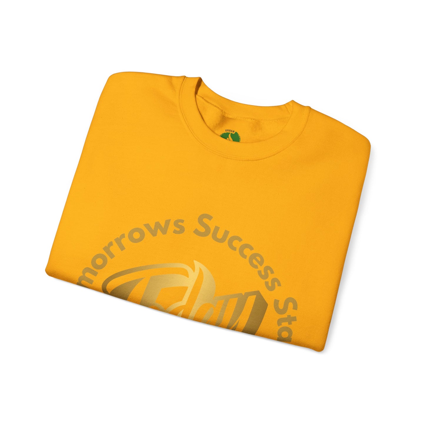 Inspirational Crewneck Sweatshirt - 'Tomorrow's Success Starts Today' Gym Motivation Sweat Shirt