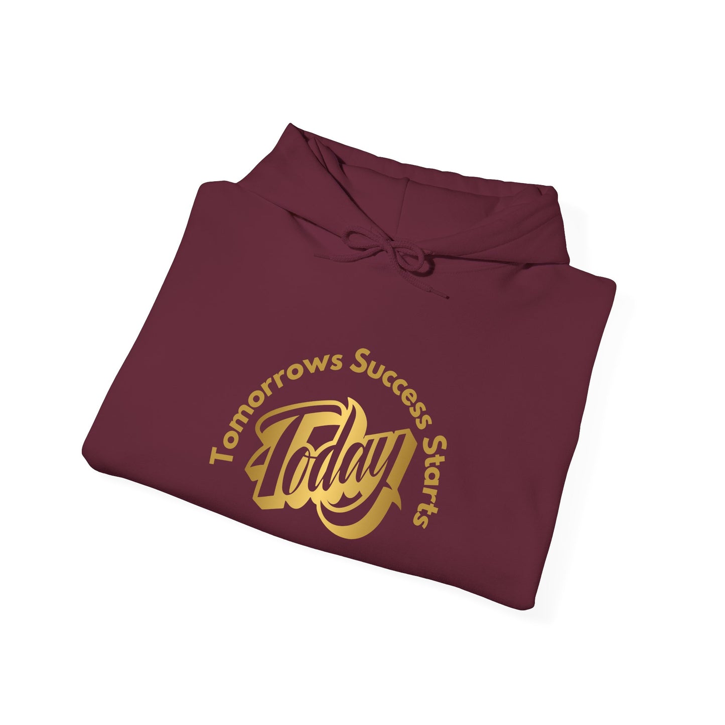 Inspirational Hoodie - "Tomorrow's Success Starts Today"