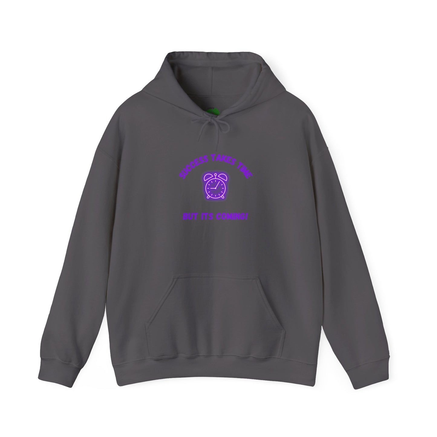 Success Takes Time Hoodie - Motivational Unisex Heavy Blend™ Sweatshirt