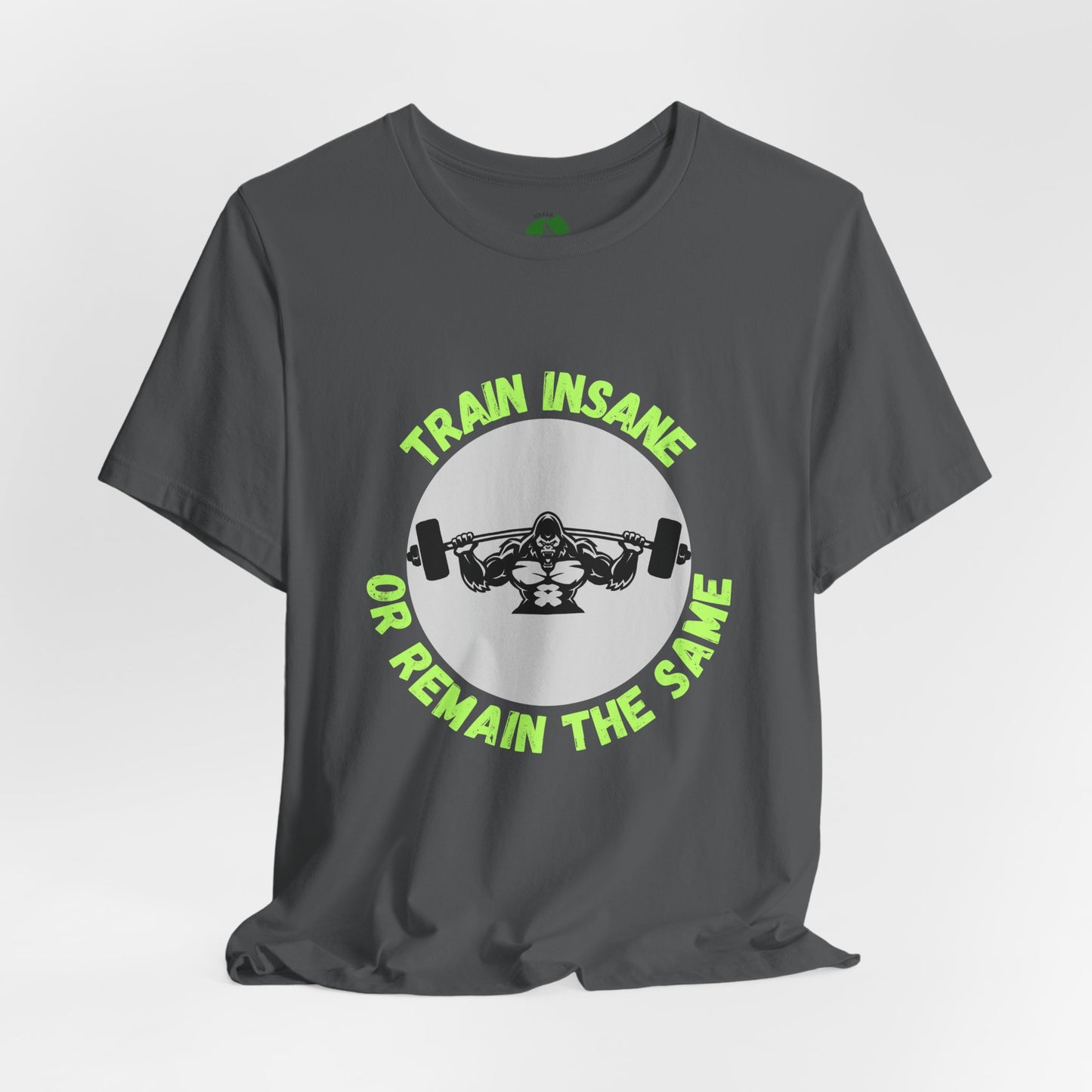 Motivational Fitness Tee - 'Train Insane or Remain the Same' Unisex Jersey Short Sleeve