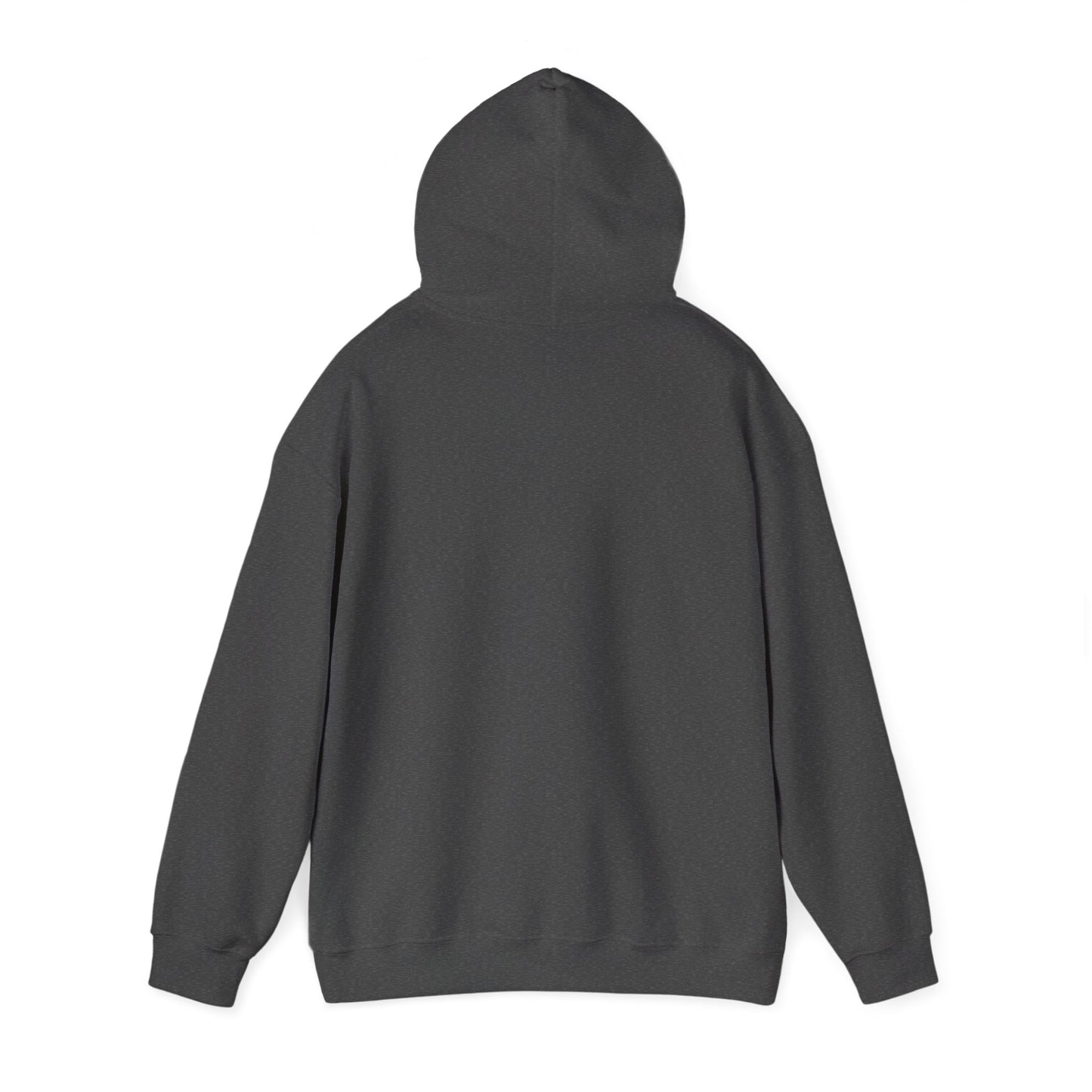 Human Beta Version Hoodie - Funny Unisex Sweatshirt for Everyday Comfort
