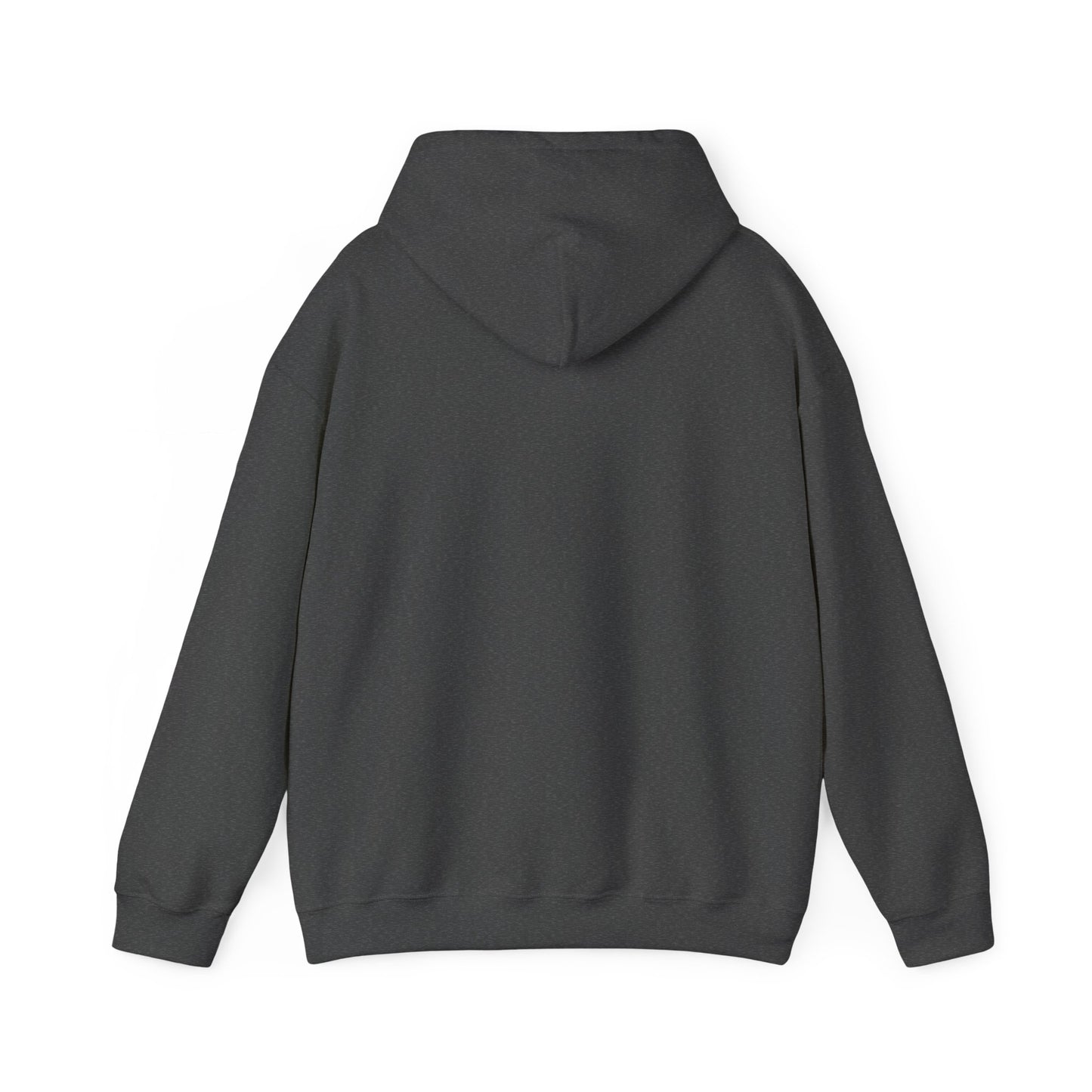 Human Beta Version Hoodie - Funny Unisex Sweatshirt for Everyday Comfort