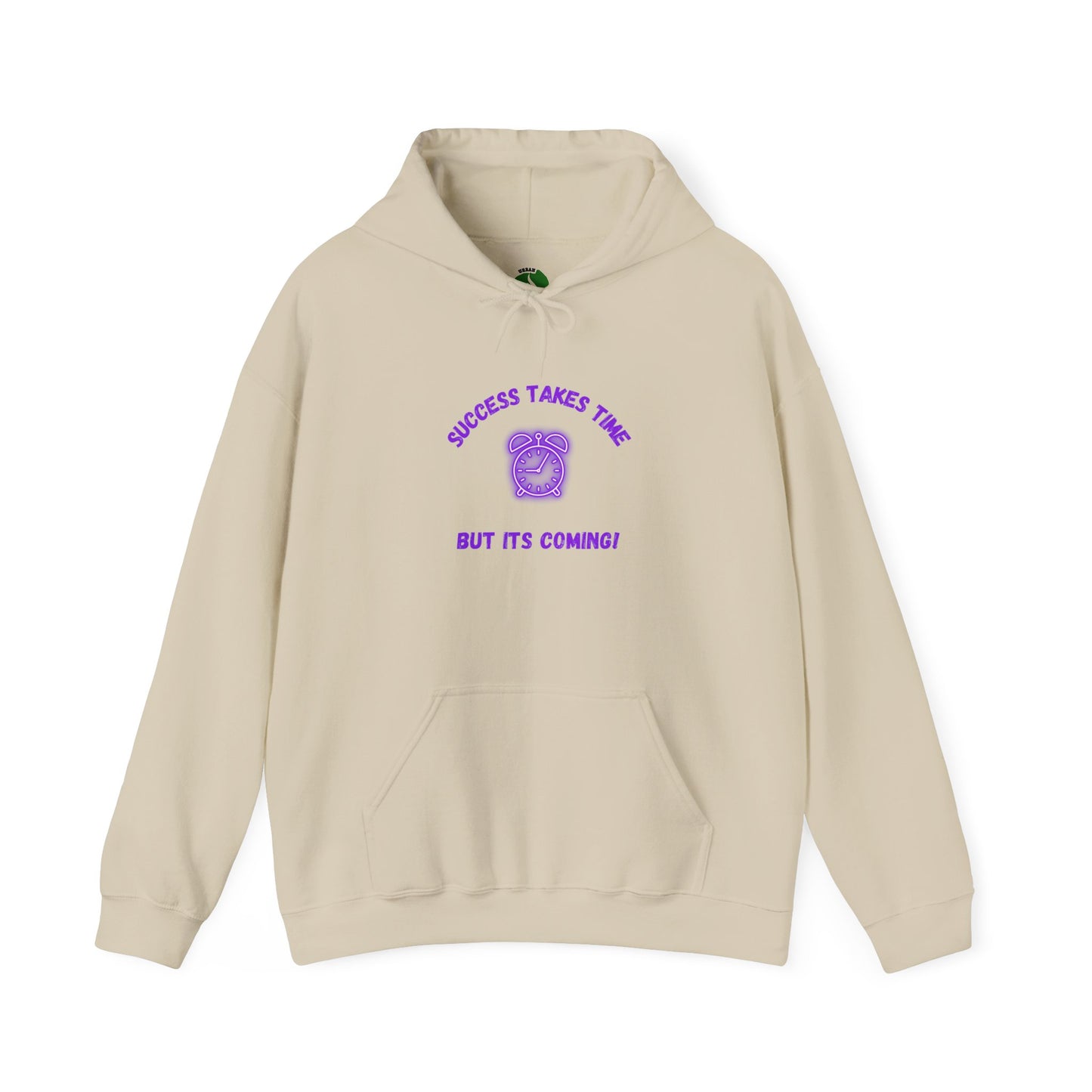 Success Takes Time Hoodie - Motivational Unisex Heavy Blend™ Sweatshirt