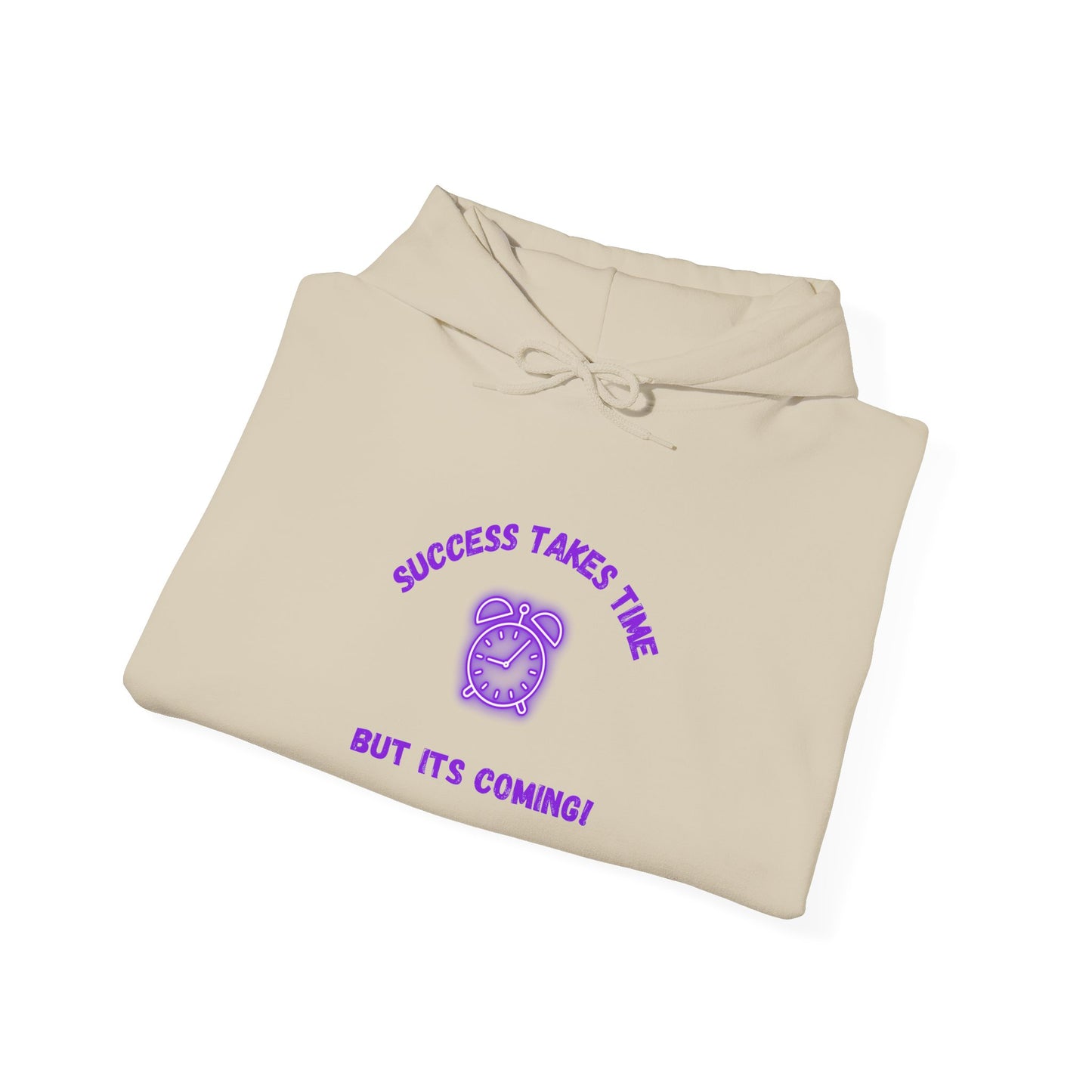 Success Takes Time Hoodie - Motivational Unisex Heavy Blend™ Sweatshirt