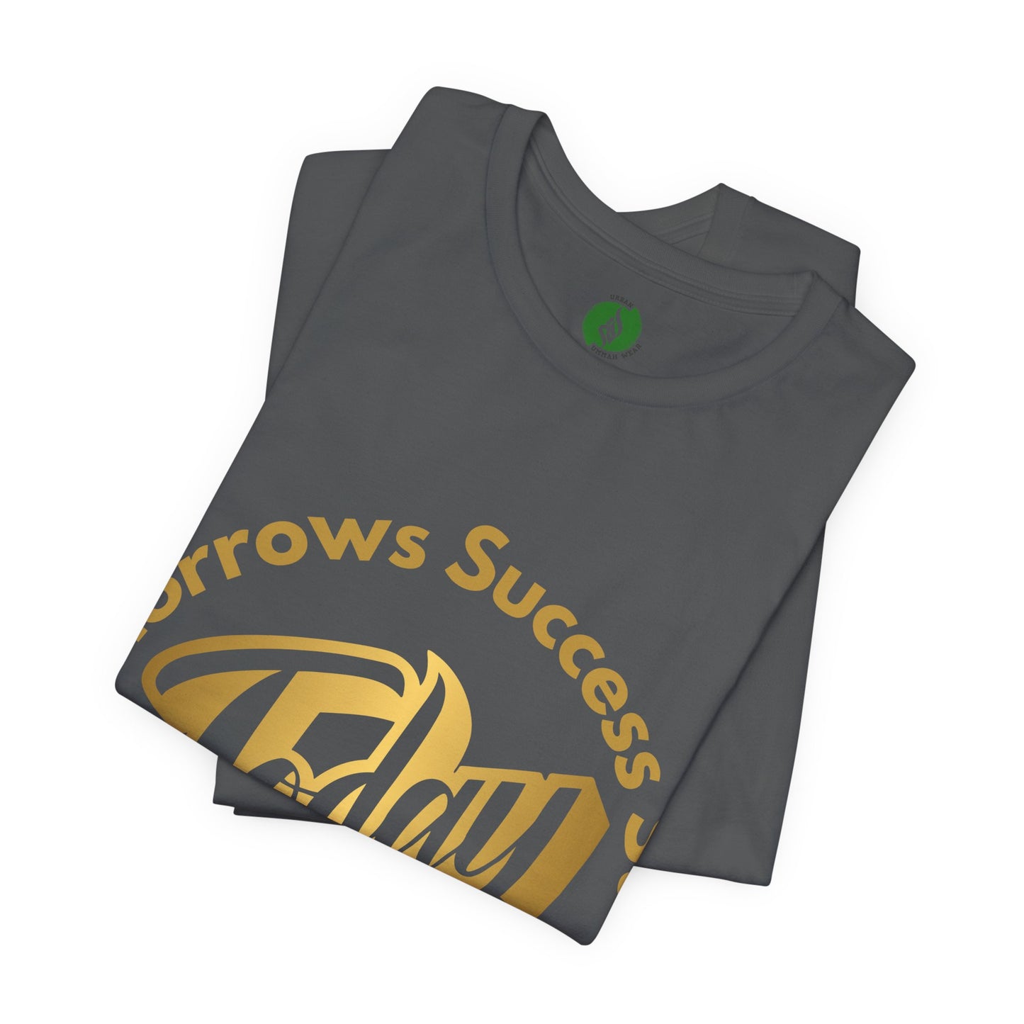 Inspirational Success Tee - "Tomorrow’s Success Starts Today" Unisex Jersey T-Shirt